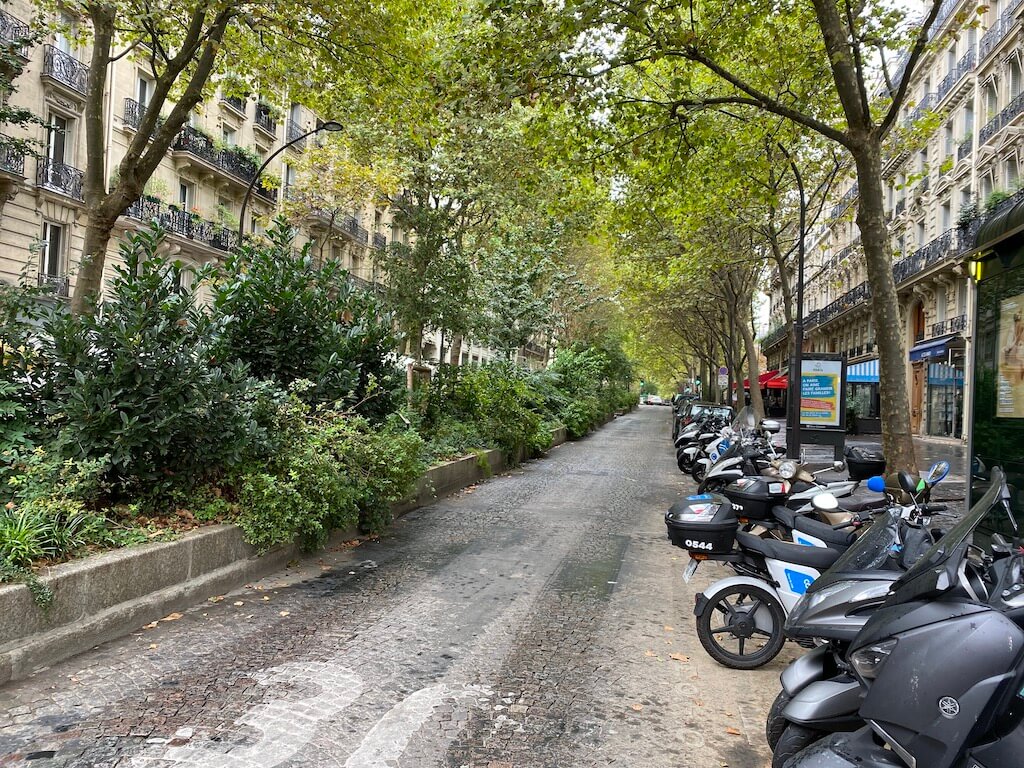 Platanen als Schattenspender. Das Foto habe ich im September 2022 in Paris gemacht.