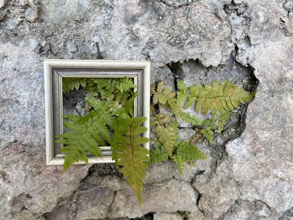 Kunst im Garten Feldrennach: Eine Fotoparade 2026 und 2025
